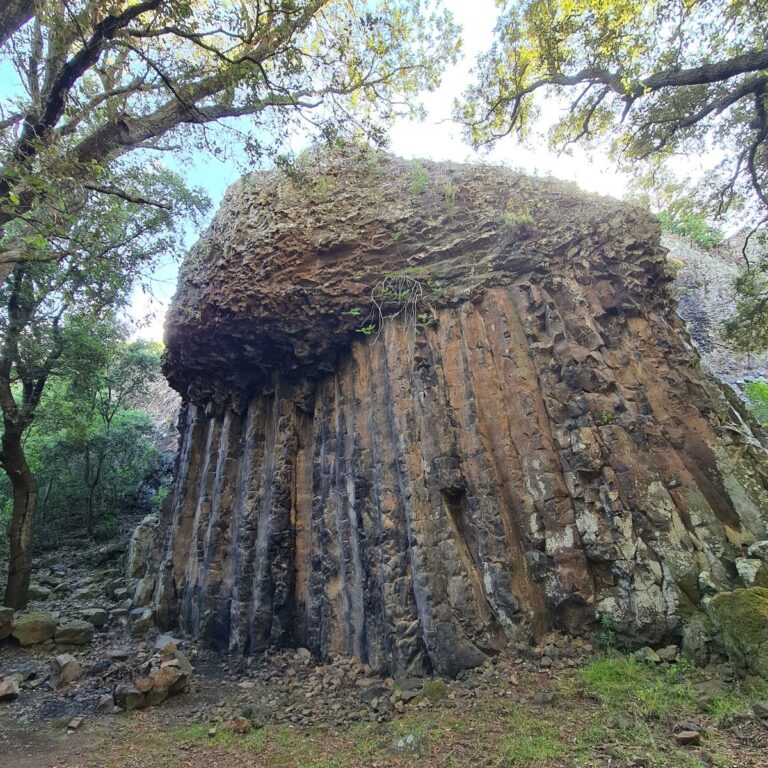 Sentieri 6 monte arci 1