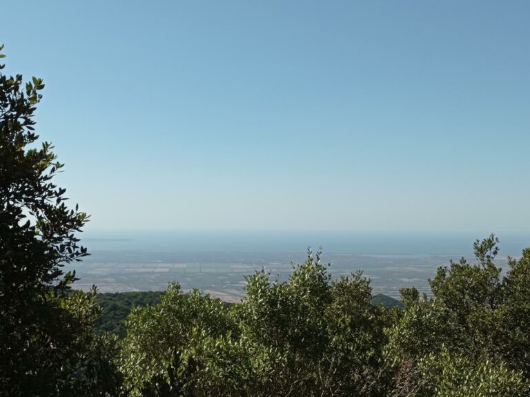 Sentieri 7 monte arci