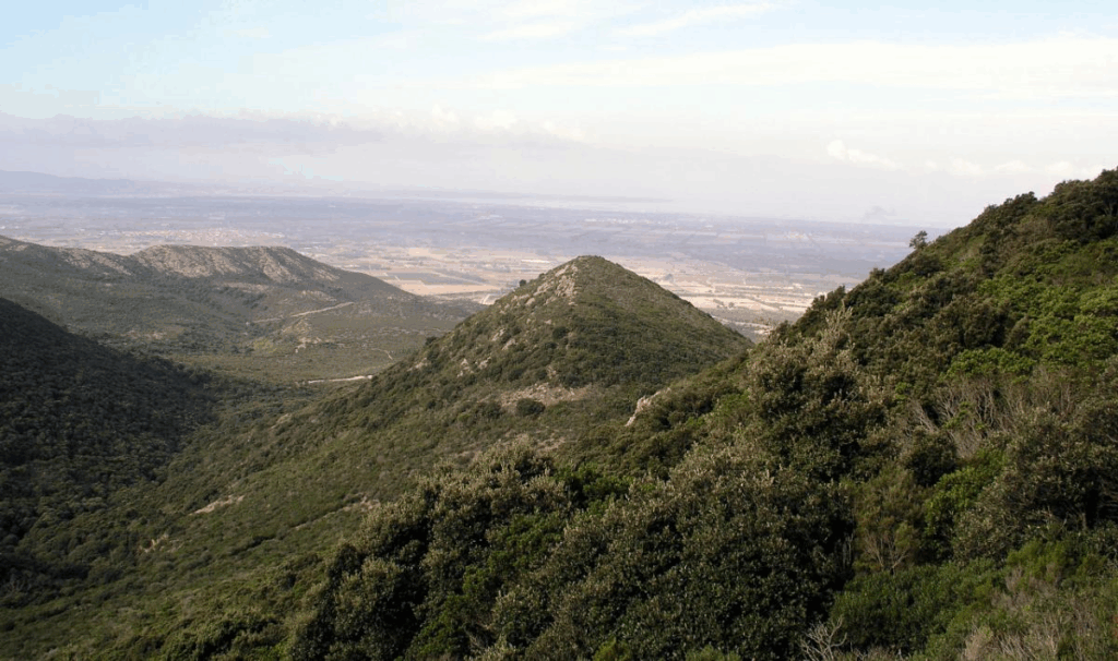 I migliori percorsi di trekking in Sardegna: scopri i sentieri nascosti del Monte Arci 1 image