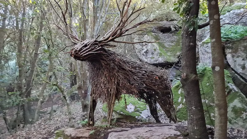 cervo - un bosco da fiaba