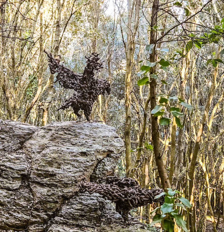 UN BOSCO DA FIABA – percorso di Arte in Natura 3 PSX 20260321 210223