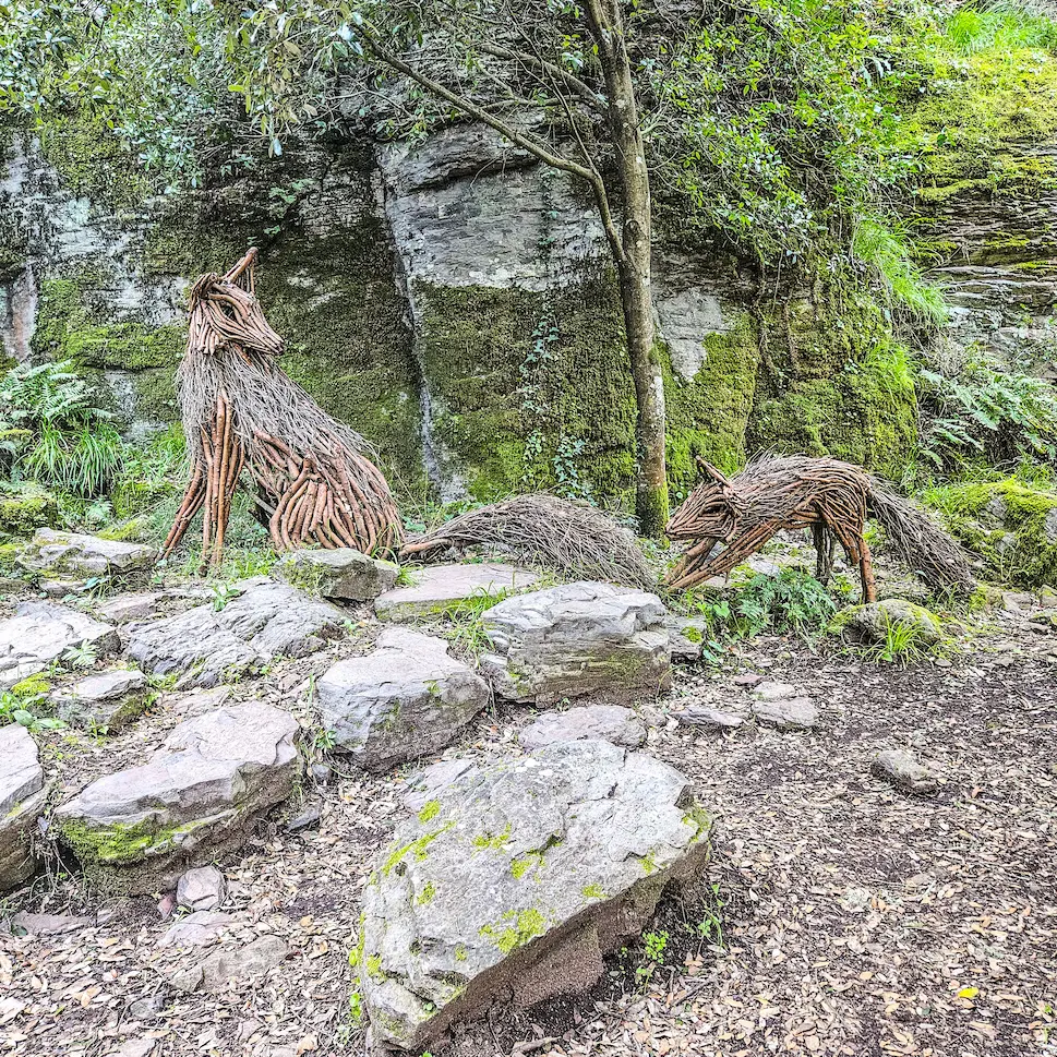 UN BOSCO DA FIABA – percorso di Arte in Natura 2 PSX 20260321 210337