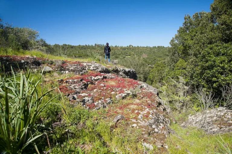 Percorso di trekking nel monte Arci
