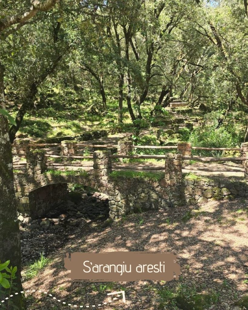Sentieri d’Arci – Tappa 3: Il sentiero di Villaurbana 1 VILLAURBANA 2 Tavola disegno 1 1