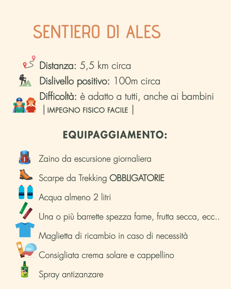 ALES 4 Tavola disegno 1