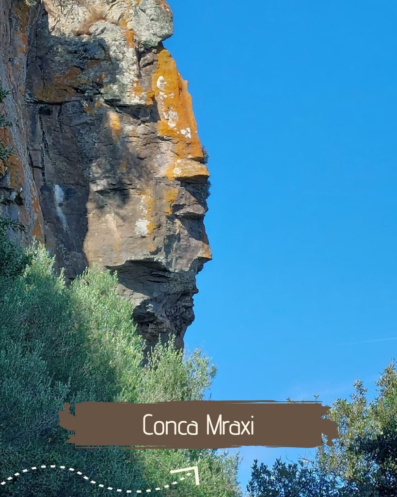 Sentieri d’Arci: il 7 novembre gran finale a Morgongiori tra le Trebine e Conca Mraxi 2 WhatsApp Image 2026 10 30 at 12.48.45 1