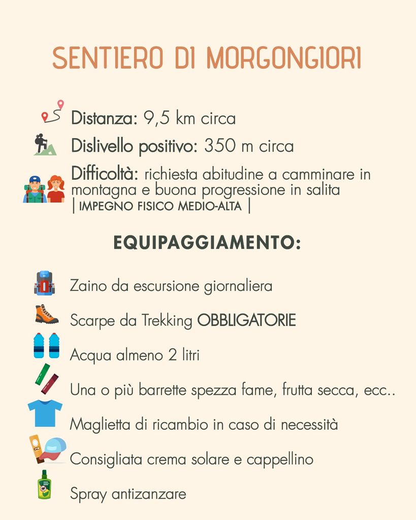 Sentieri d’Arci: il 7 novembre gran finale a Morgongiori tra le Trebine e Conca Mraxi 1 WhatsApp Image 2026 10 30 at 12.56.27